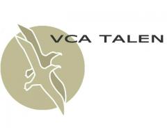 VCA Basic-03.09.16-Rijswijk/Den Haag- VCA Talen